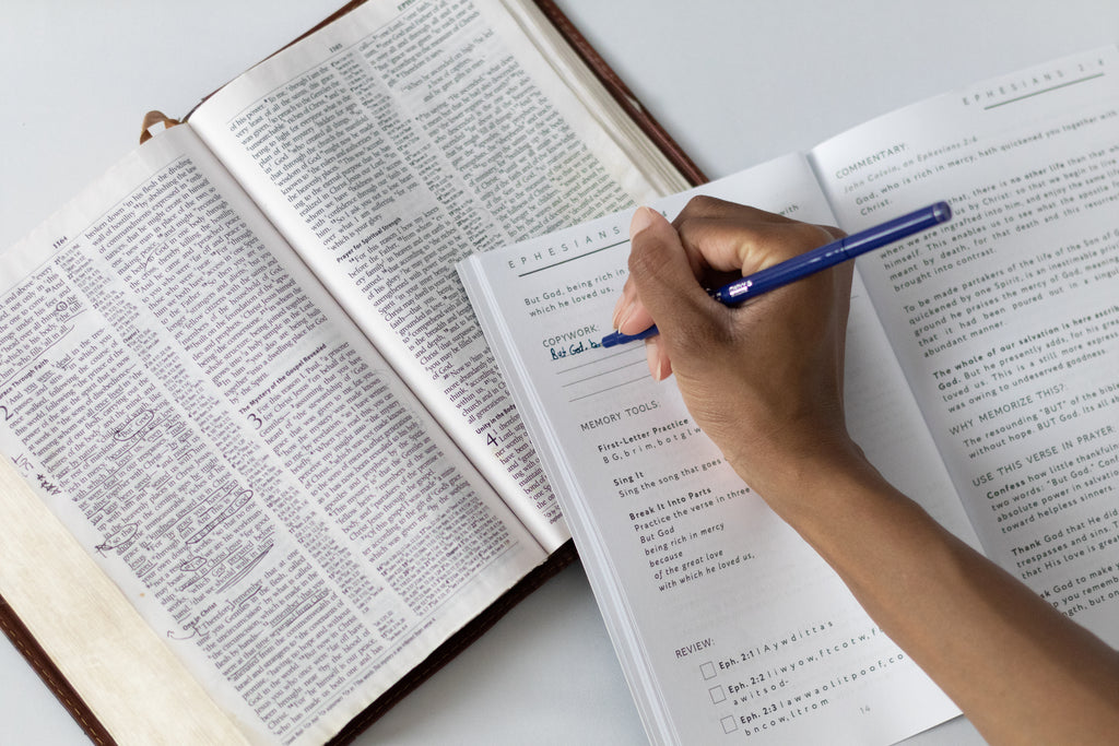 Ephesians 2 Memory Guide