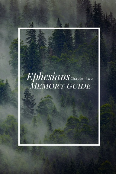 Book Cover Variant Thumbnail
